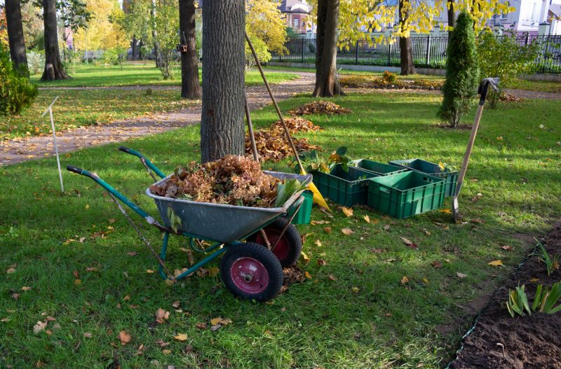 Efficient Leaf Clearing